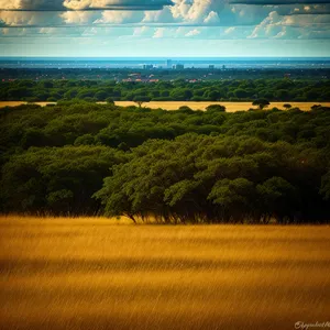 Idyllic Summer Farm Landscape Under Clear Skies