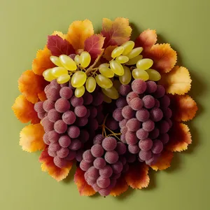 Vibrant Harvest: A Bountiful Grapevine in Autumn