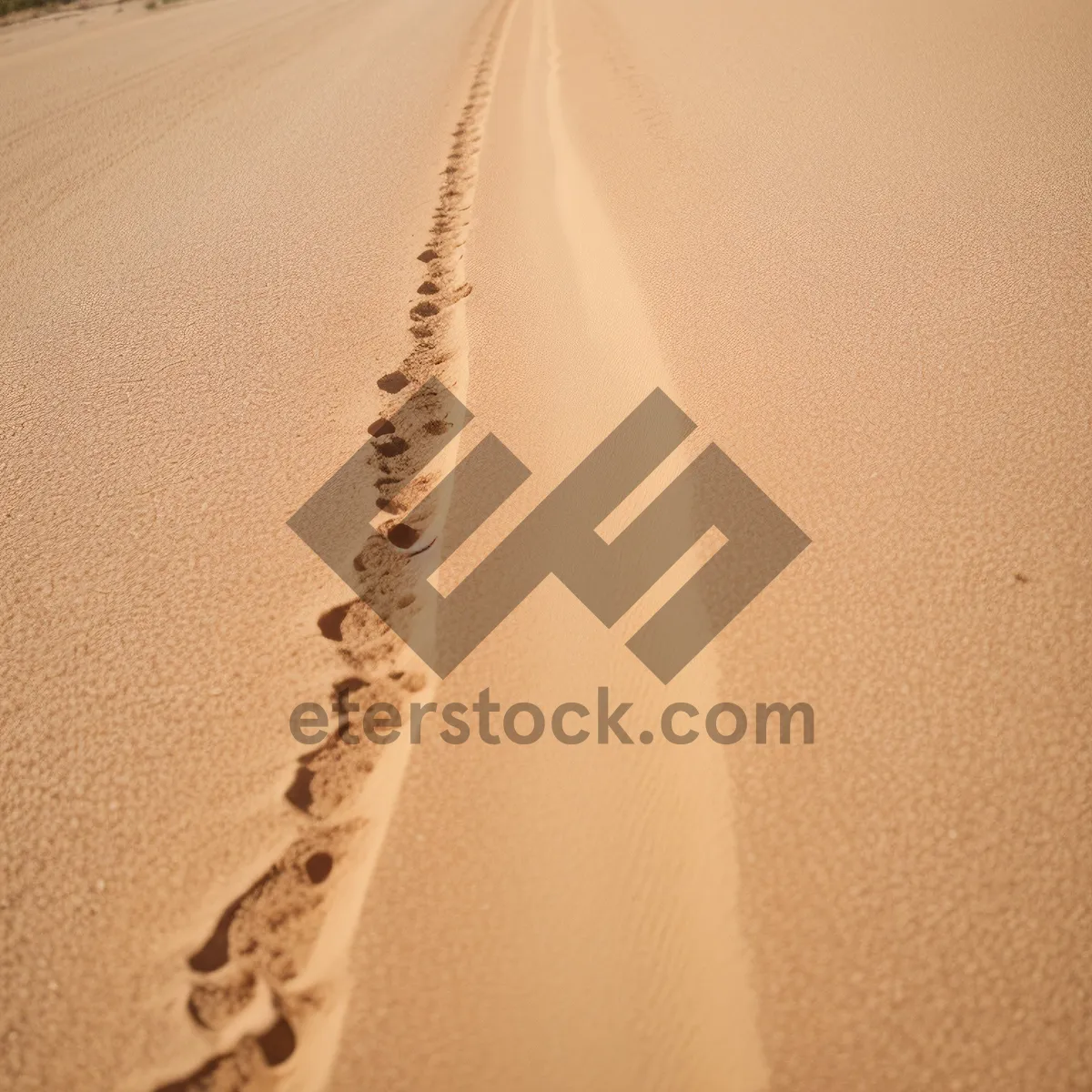 Picture of Sandy Desert Dunes: Tranquil Yellow Landscape