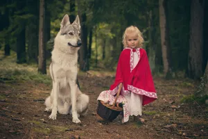 Majestic white malamute sled dog with piercing eyes