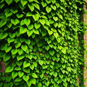 Nature's Lush Green Tapestry: Fern and Tree Patterns"
(Note: The line describes the image using relevant tags and captures the essence of a vibrant natural setting with ferns, trees, and a textured backdrop.)