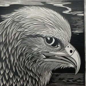 Majestic Eagle: Wild, Predator, Feathers, Close, Eye