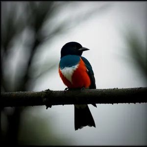 Colorful Tropical Parrot perched on Branch