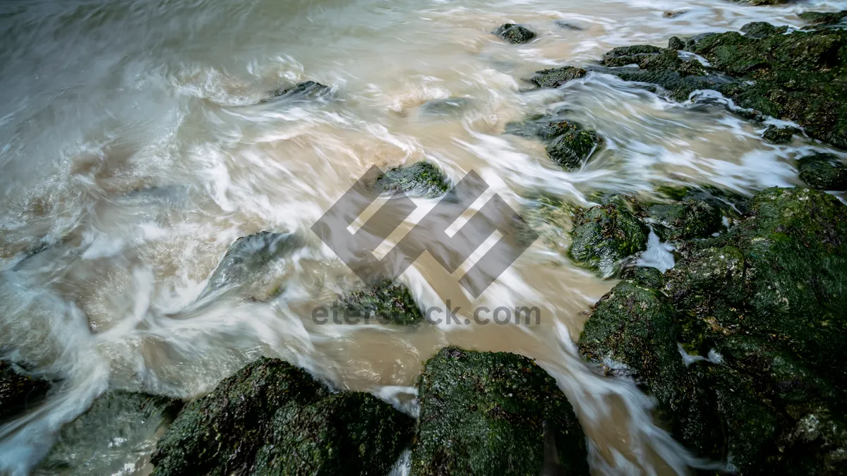 Picture of Majestic Waterfall in Summer Forest Flowing Wildly