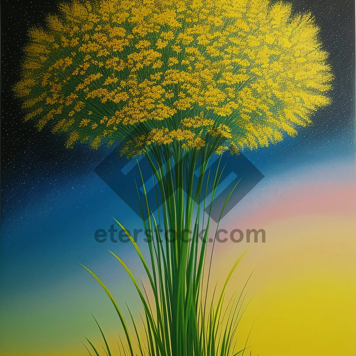 Picture of Vibrant Yellow Dandelion in Summer Field