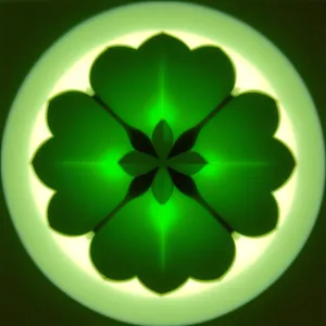 Modern Glass Eco Button Set with Healing Leaf