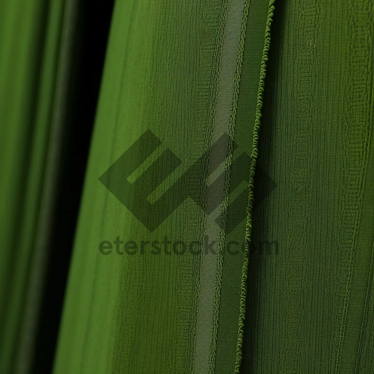 Picture of Bright Desert Plant: Textured Agave Leaf in Garden