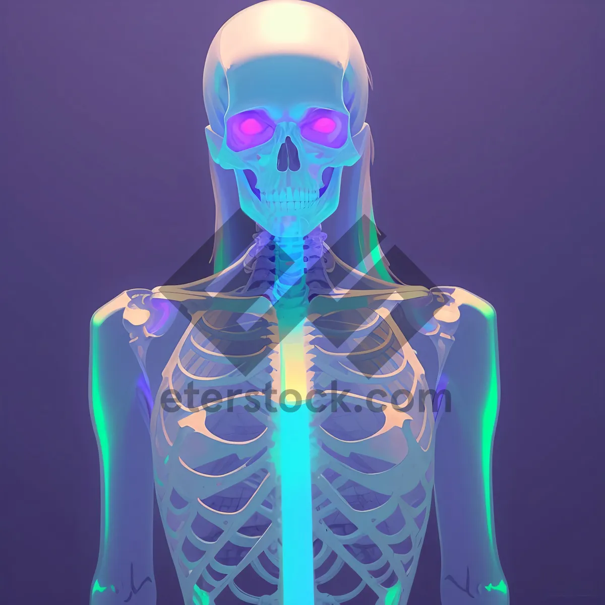 Picture of Transparent 3D Human Skeleton with Spinal Anatomy