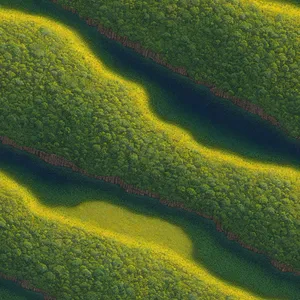 Fresh Zucchini Texture in a Summer Meadow