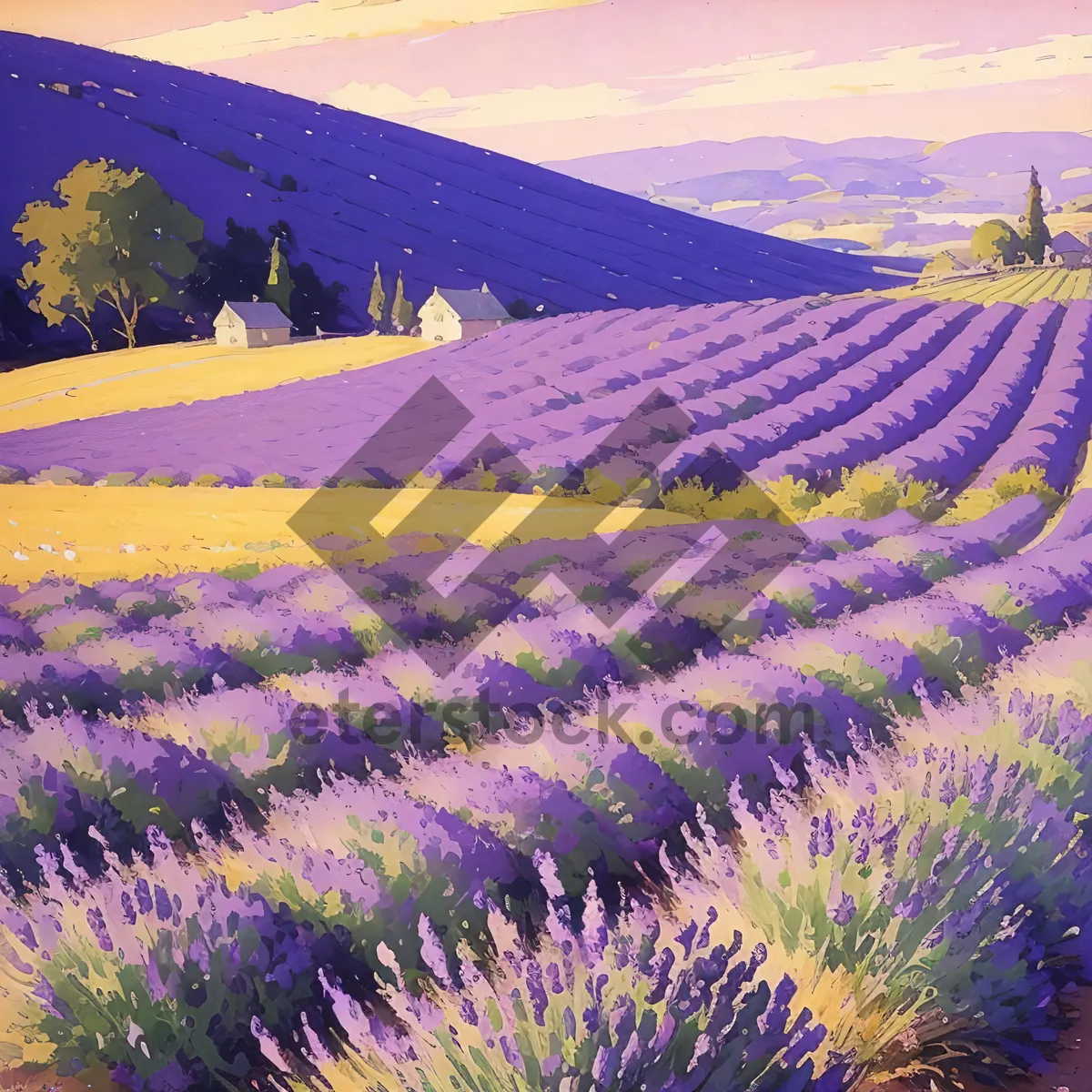 Picture of Lavender Wildflower Field in Rural Countryside