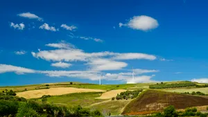 Sunlit Tree in Rural Landscape Under Blue Sky