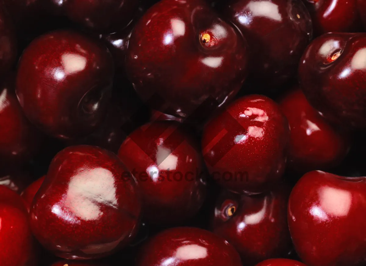 Picture of Organic Cherry Pomegranate Drupe Fruit Salad Bowl