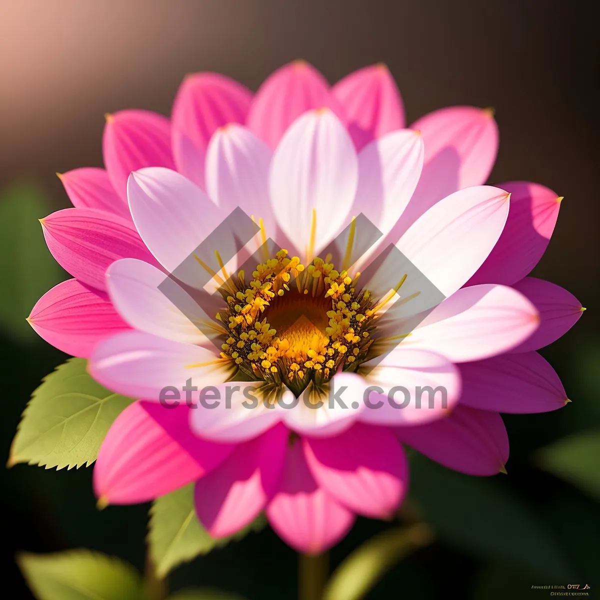 Picture of Purple Lotus Blossom - Botanical Beauty in Bloom