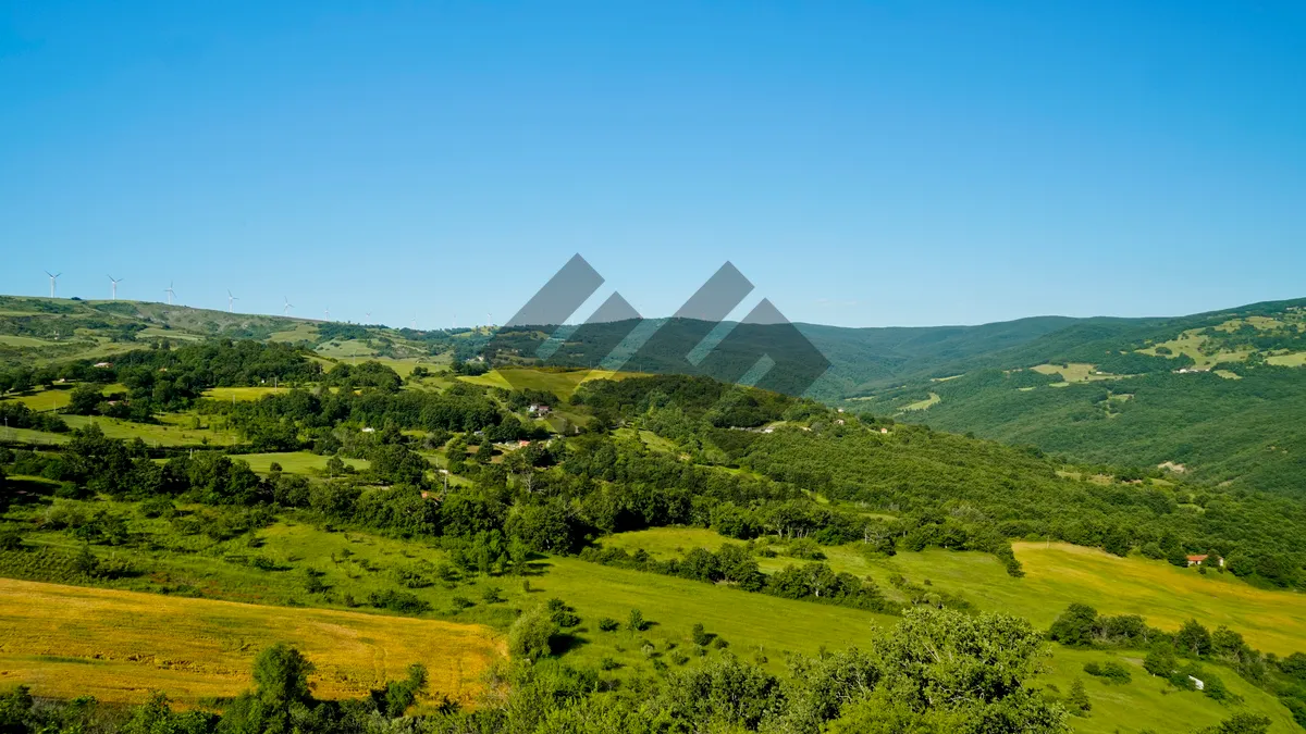 Picture of Mountain landscape with tree and sky