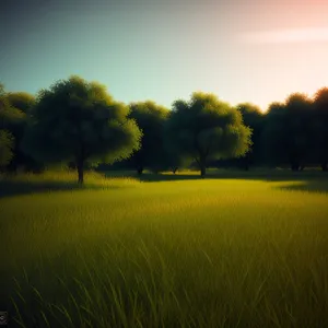 Golden Fields Dance Under Summer Sky