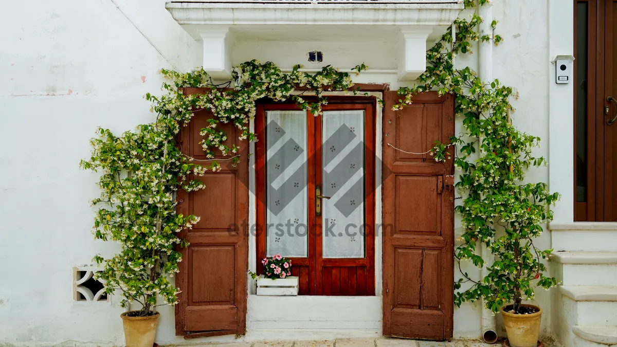 Picture of Antique wooden door on old house