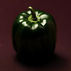 Fresh Organic Vegetable Salad with Bell Pepper and Tomato