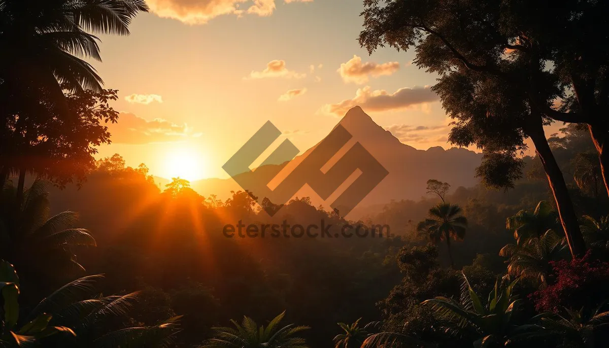 Picture of Silhouette Sunset over Mountain Landscape Sky View