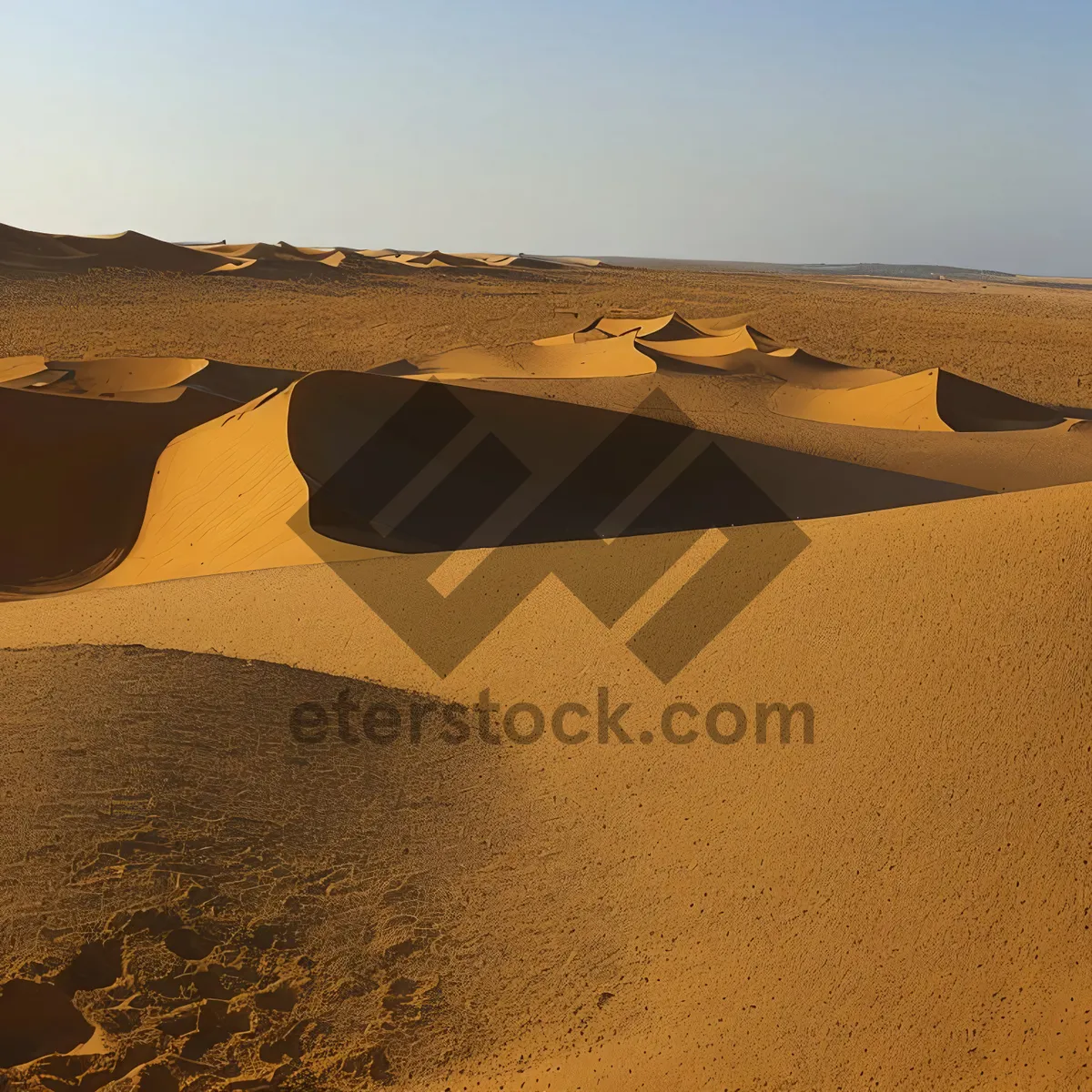 Picture of Majestic Desert Sands: A Vibrant Moroccan Adventure