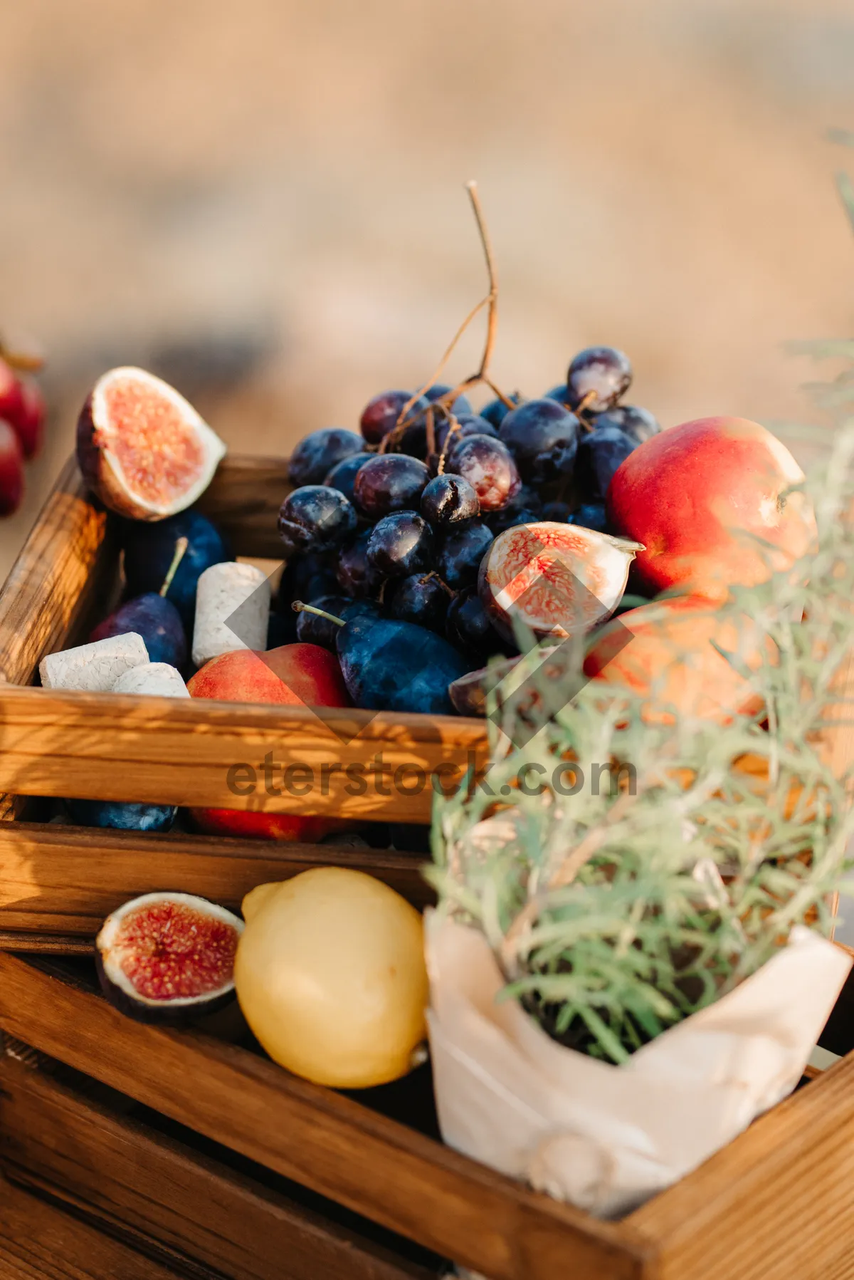 Picture of Fresh Vegetable Cheese Plate with Raw Ingredients