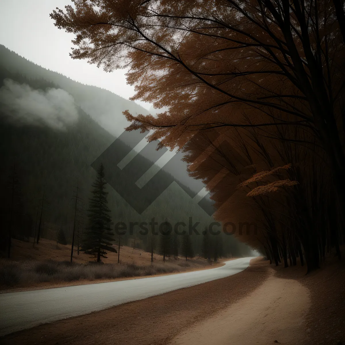 Picture of Winter Wonderland: Snowy Road Through Scenic Forest