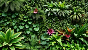 Tropical foliage plant with flowers in a garden
