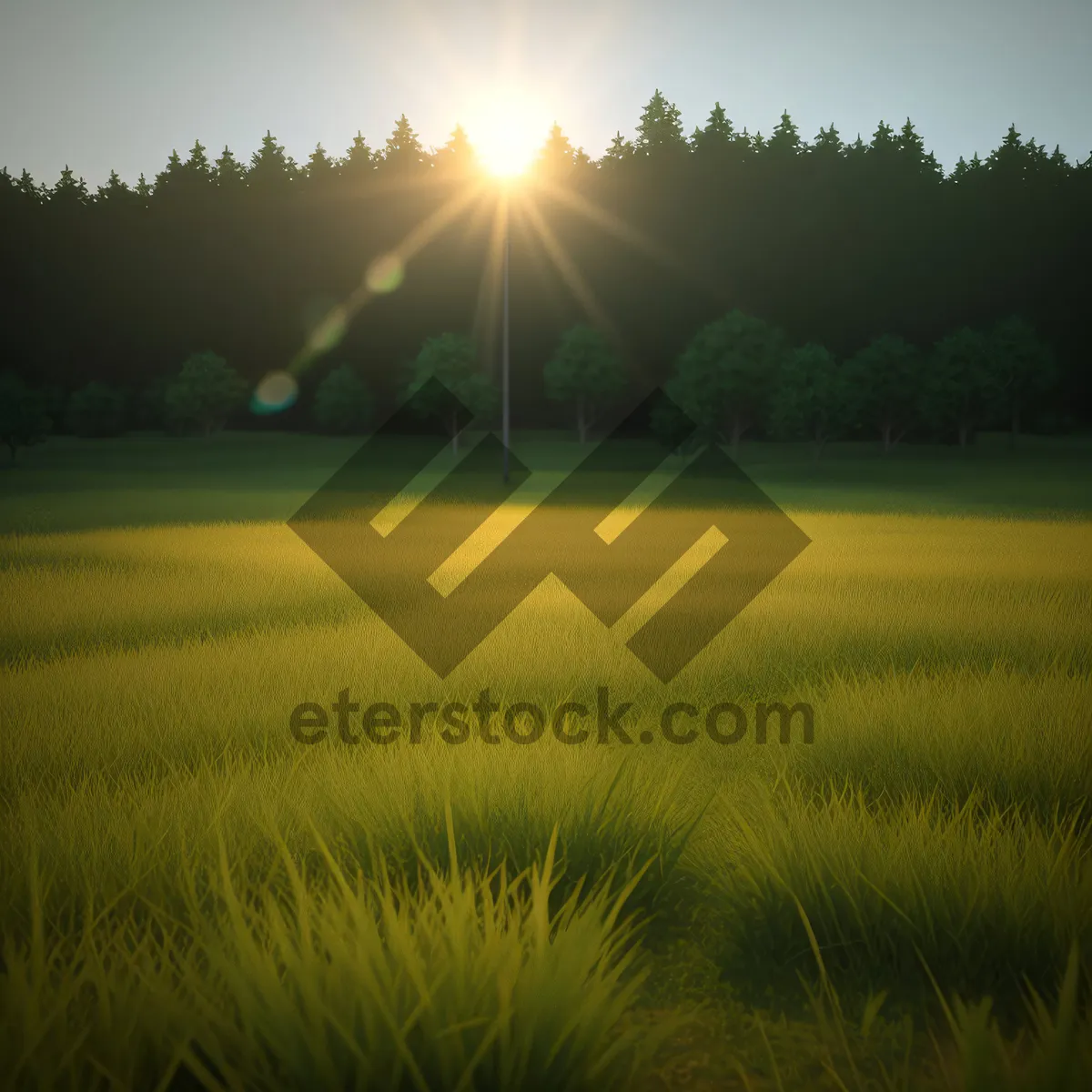 Picture of Vibrant summer meadow beneath starlit sky