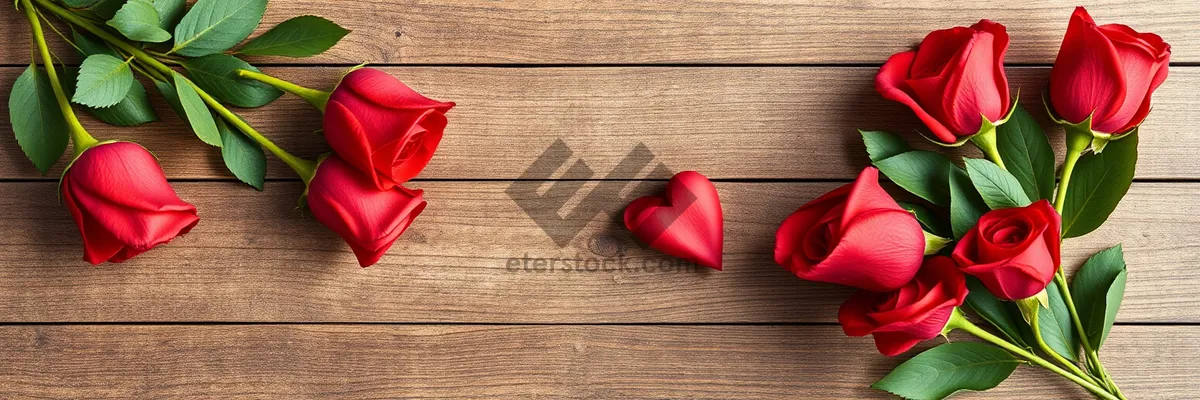 Picture of Romantic Rose Petals for Valentine's Day Gift