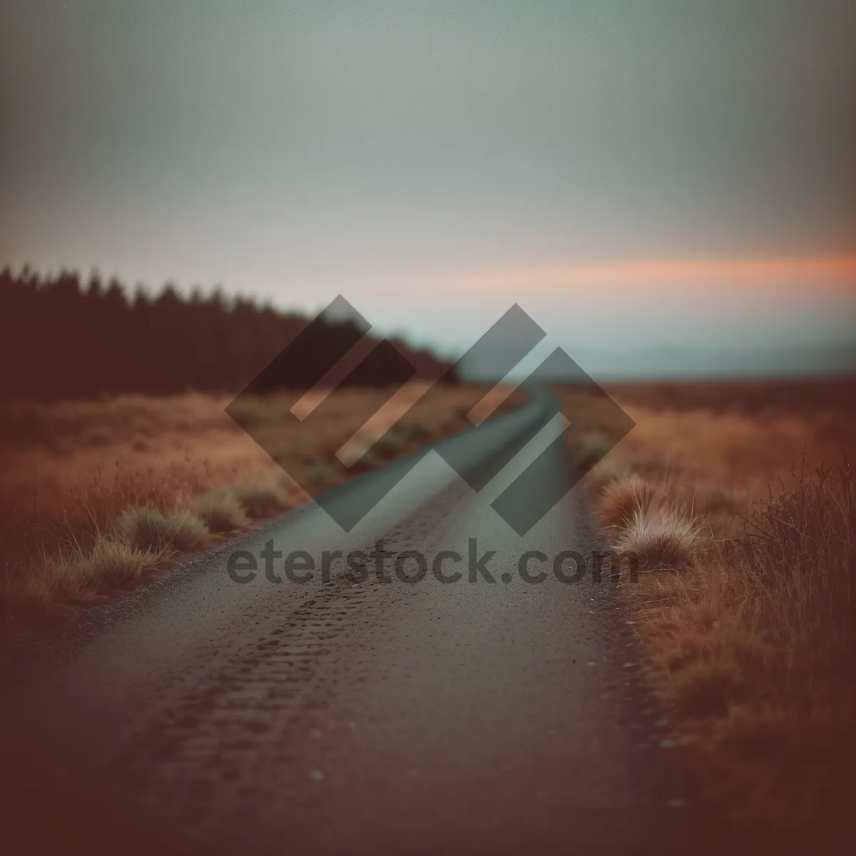 Picture of Endless Road through Desert Dunes