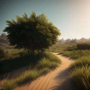 Serene Countryside Sunset Over Field and Trees
