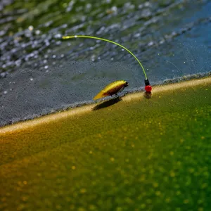 Fly Fishing Gear in Water - Essential Equipment for Angling