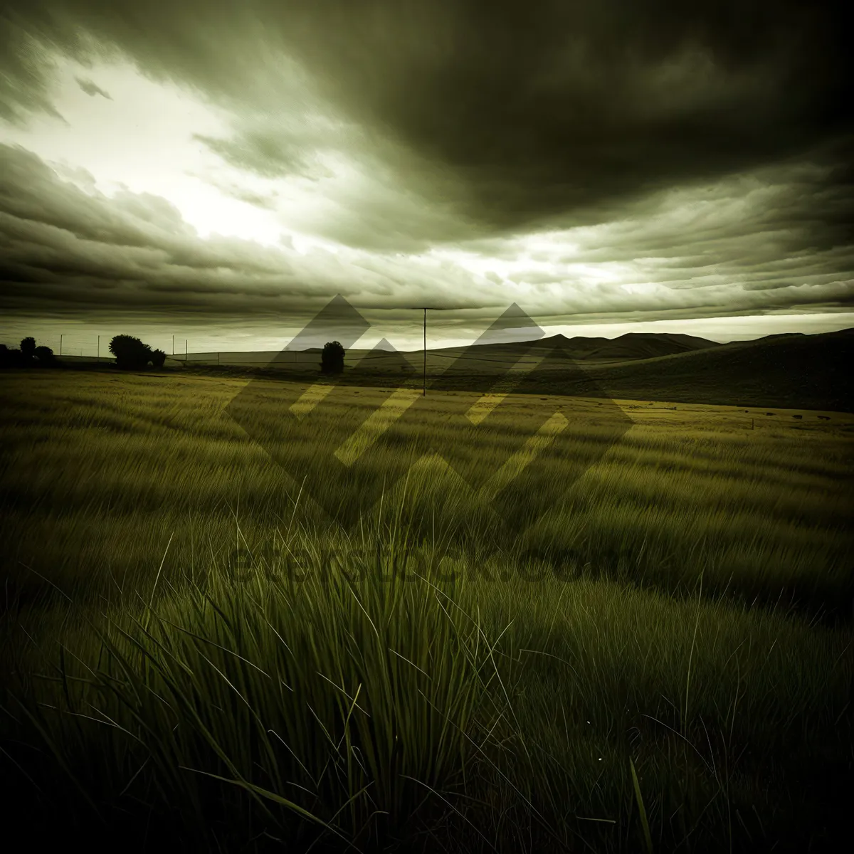 Picture of Sunset over Rural Meadow and Grassland