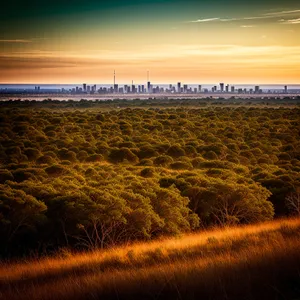 Vibrant Rural Sunset Over Golden Meadows