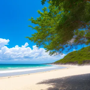 Sunny Tropical Beachscape with Turquoise Waves