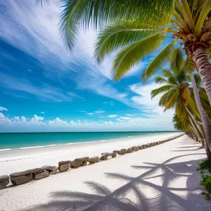Tropical Paradise: Sun, Sand, and Serenity