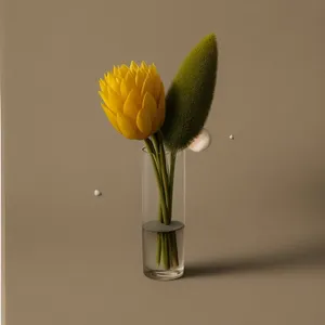 Yellow Tulip Bouquet in Vase
