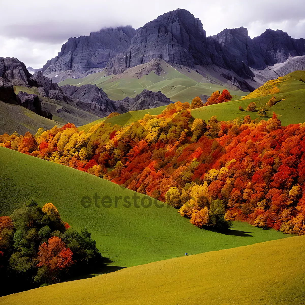 Picture of Serene Highland Mountain Landscape with River and Lake