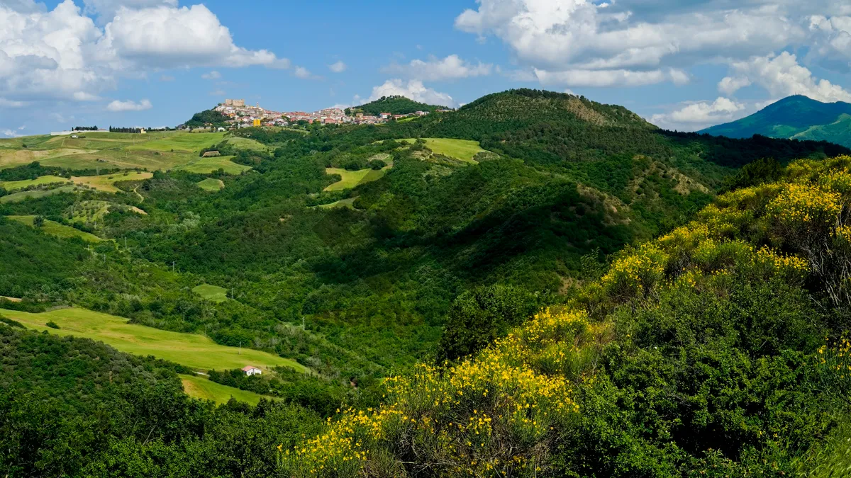 Picture of Mountain forest landscape with river and cloudy sky.