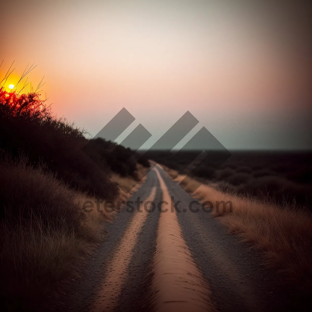 Picture of Golden Sunset Over Rural Countryside Road