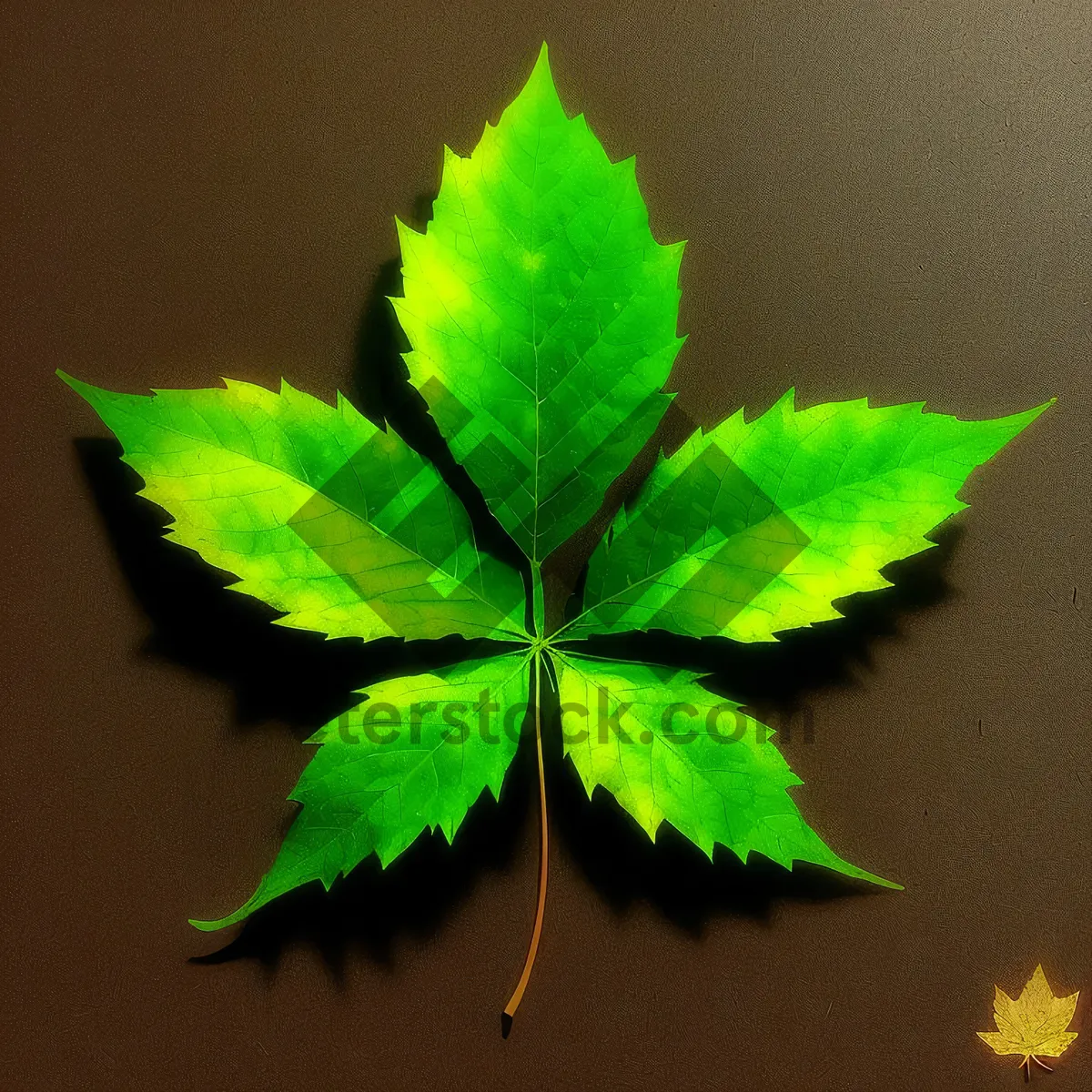 Picture of Autumn Maple Leaf in Vibrant Yellow