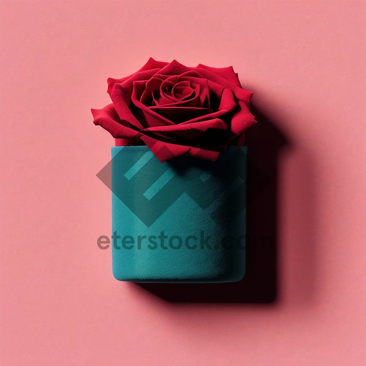 Picture of Romantic Valentine's Day gift with roses and ribbon