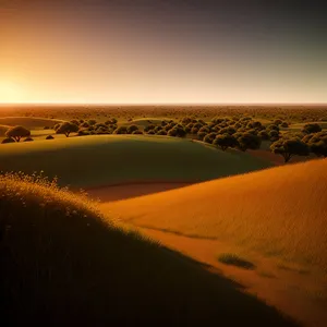 Serenity Sands: Majestic sunset over desert dunes