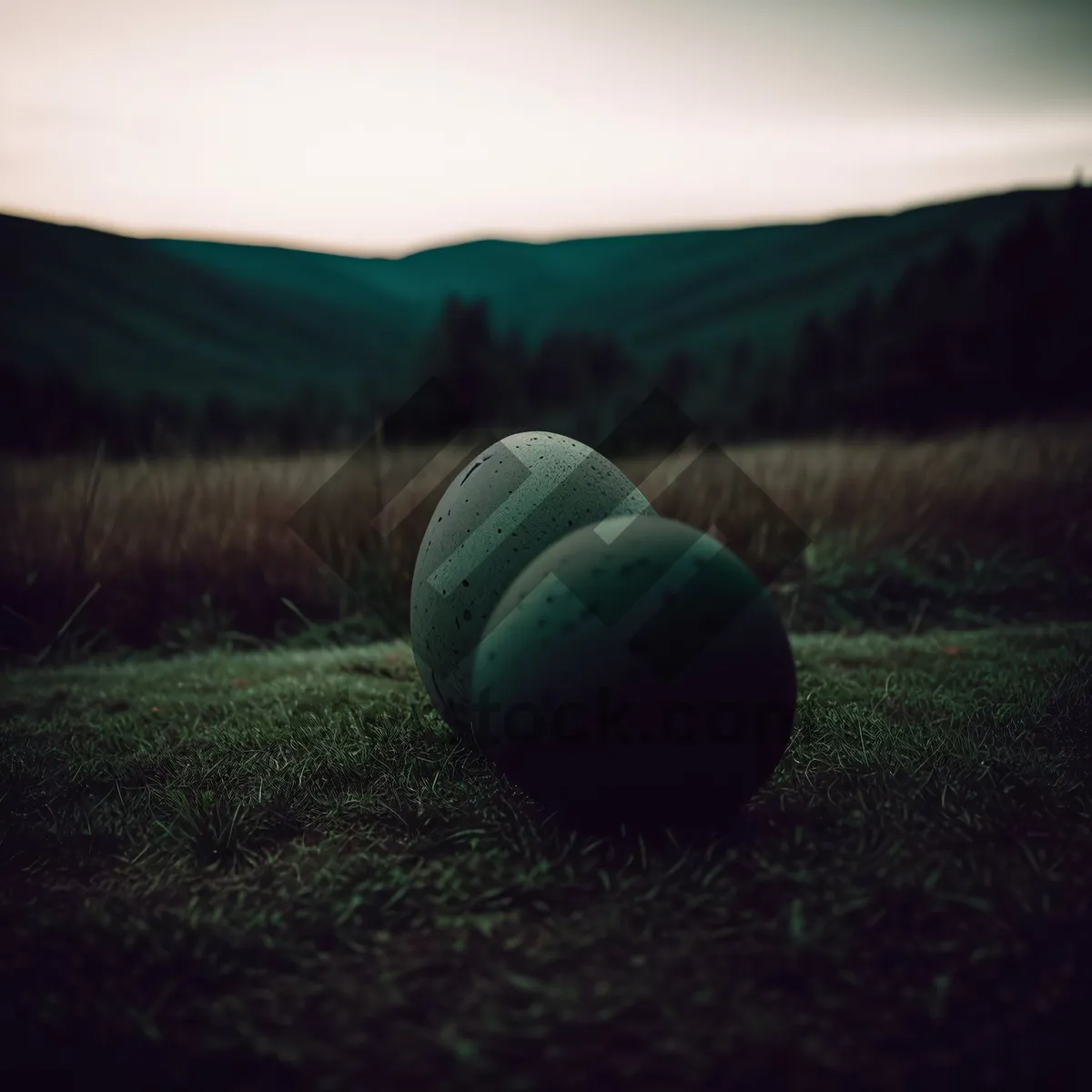 Picture of Golden summer harvest: Tennis ball on hay field