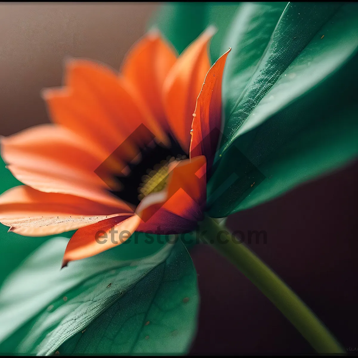 Picture of Vibrant Yellow Floral Pinwheel in Blossoming Garden