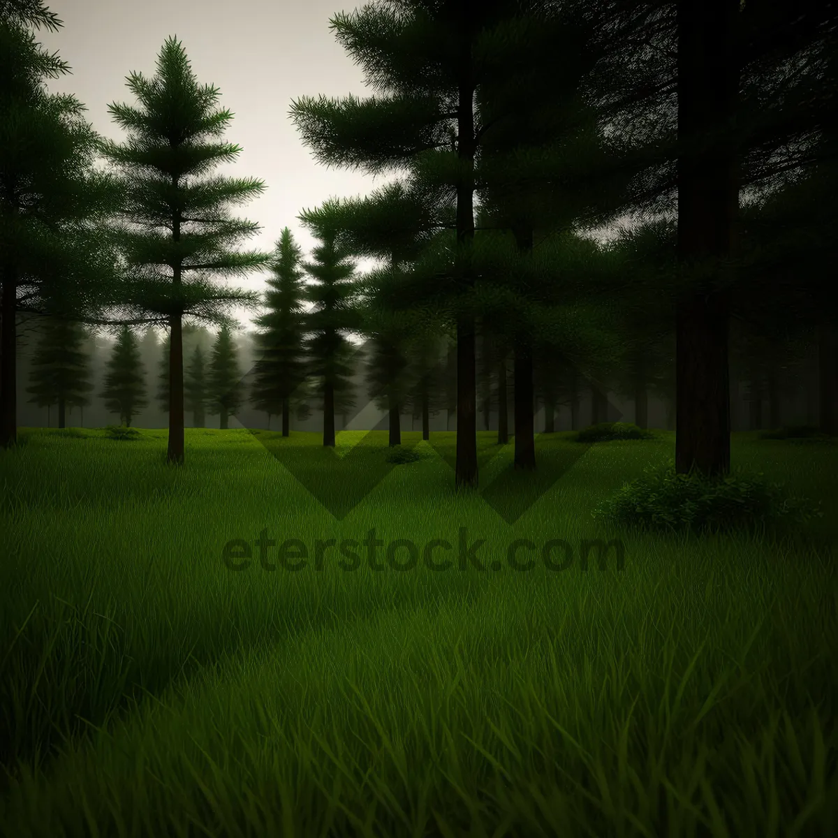 Picture of Sunlit Path Through Lush Green Woods.