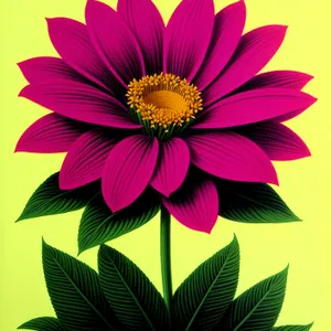 Vibrant Sunflower Blossom in Full Bloom