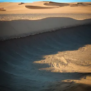 Serene Dune Landscape by the Ocean