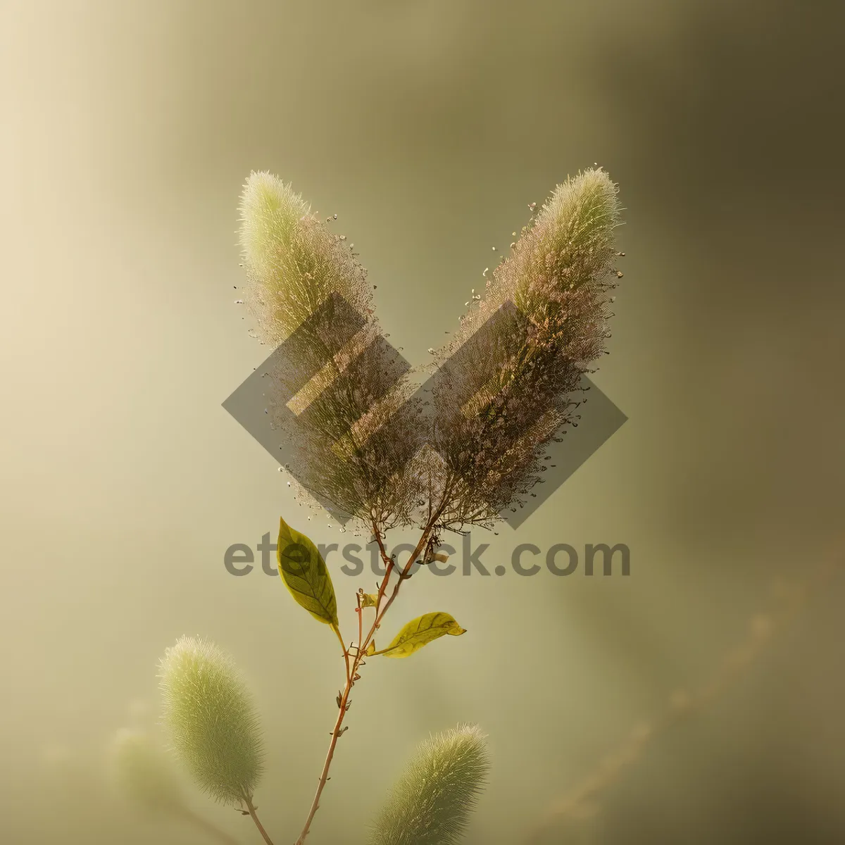 Picture of Willow Tree in Full Bloom: Summer's Vibrant Flora