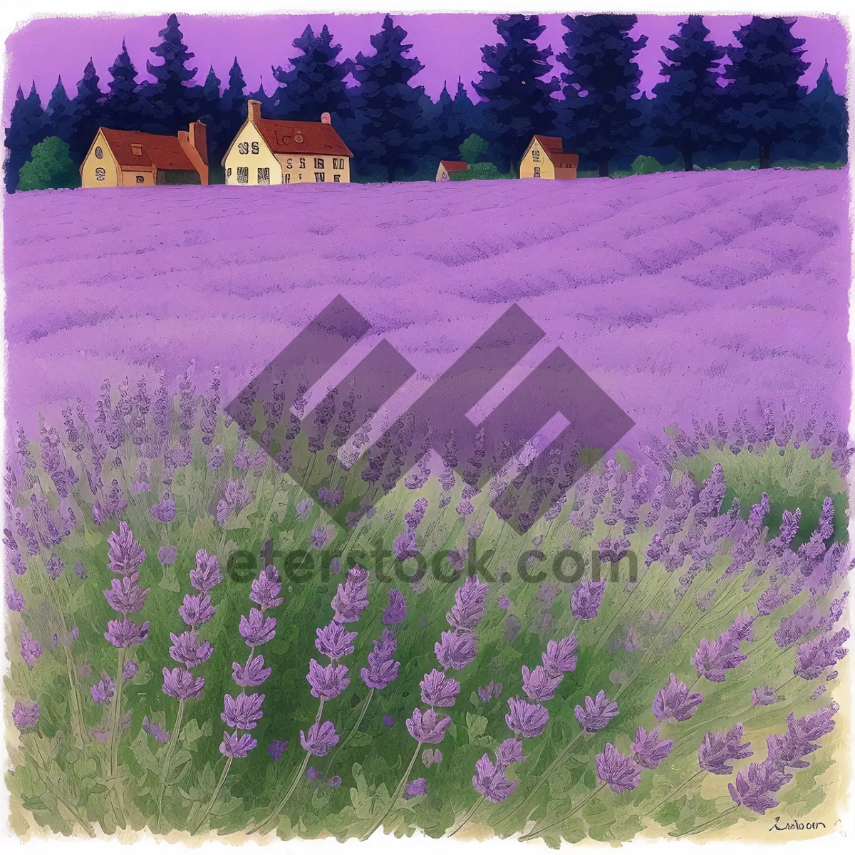 Picture of Colorful Lavender Blooms in Rural Landscape