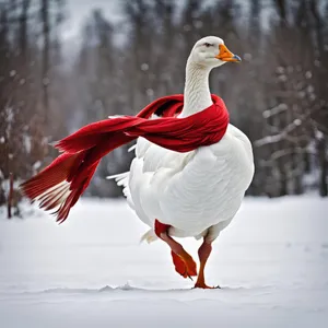 White crane standing gracefully in tranquil lake water